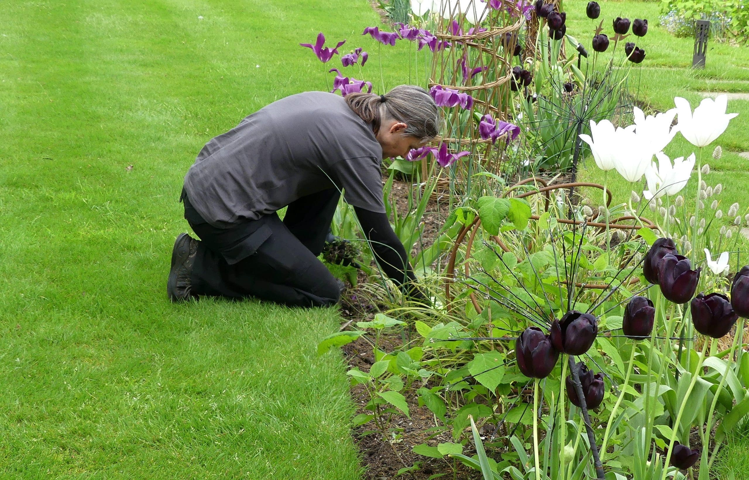 lady gardening